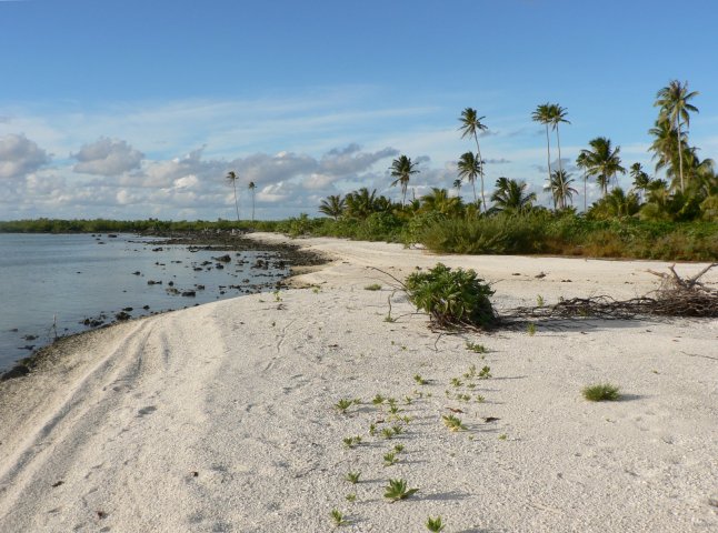 49- Une plage 